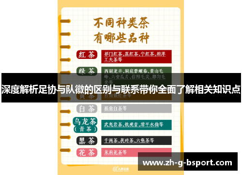 深度解析足协与队徽的区别与联系带你全面了解相关知识点