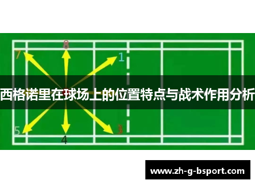 西格诺里在球场上的位置特点与战术作用分析