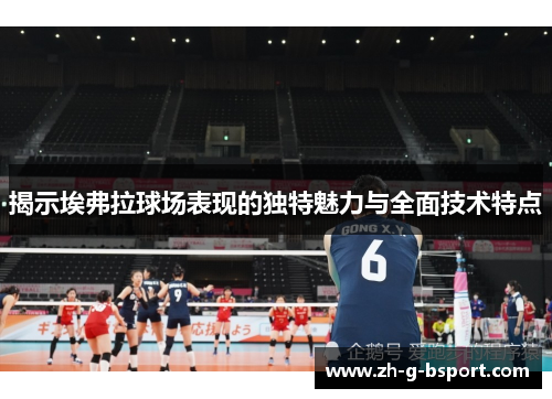 揭示埃弗拉球场表现的独特魅力与全面技术特点