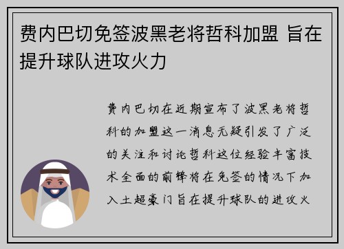 费内巴切免签波黑老将哲科加盟 旨在提升球队进攻火力